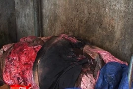 Ô nhiễm môi trường ở các làng nghề thuộc da tại Thường Tín