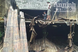 Căn nhà nơi xảy ra vụ thảm sát 4 người hoang phế lạnh người