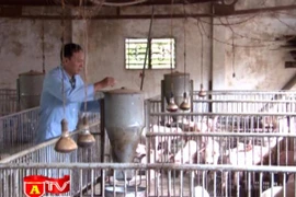 Vay vốn tam nông dựng cơ ngơi bạc tỷ