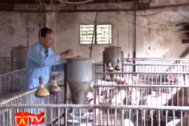 Vay vốn tam nông dựng cơ ngơi bạc tỷ