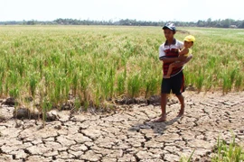 560 triệu USD hỗ trợ đồng bằng sông Cửu Long 