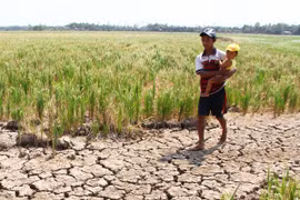 560 triệu USD hỗ trợ đồng bằng sông Cửu Long 