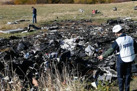 Tình báo Đức cam đoan "phe li khai miền đông Ukraine bắn rơi MH17"
