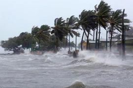 Có thể xuất hiện cơn bão mới ở Biển Đông