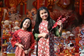 Hàng Mã ngập tràn không khí Tết, giới trẻ Hà thành đua nhau check in chụp ảnh 