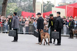 Video: Xem cảnh khuyển truy tìm ma tuý, thuốc nổ