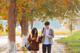 Check in con đường đẹp như phim Hàn ở Hà Nội 