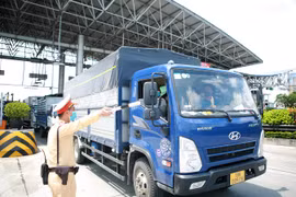 Hơn 13 nghìn phương tiện được cấp thẻ “luồng xanh”