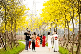 Sức hấp dẫn của du lịch Hà Nội từ những con đường hoa