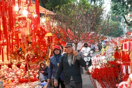 Rực rỡ sắc màu không gian chợ hoa Hàng Lược