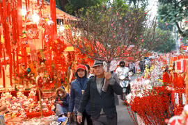 Rực rỡ sắc màu không gian chợ hoa Hàng Lược