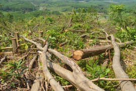  Bắt tạm giam nguyên Phó giám đốc Sở Nông nghiệp và Phát triển nông thôn Bến Tre 
