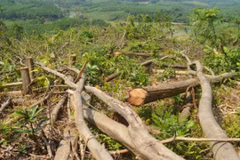  Bắt tạm giam nguyên Phó giám đốc Sở Nông nghiệp và Phát triển nông thôn Bến Tre 