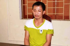 Giả làm "lái trâu" để trộm tài sản khi chủ nhà sơ hở