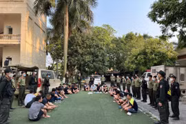 Truy quét sới gà cực lớn núp sâu trong trang trại