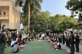 Truy quét sới gà cực lớn núp sâu trong trang trại