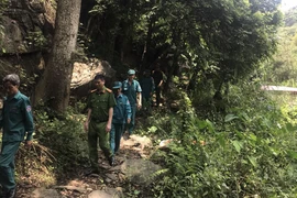 Tuyên truyền, kiểm tra phòng cháy, chữa cháy rừng phòng hộ, đặc dụng Hà Nội