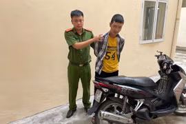 Vừa ra tù lại gây ra hàng loạt vụ cướp giật, trộm cắp tài sản