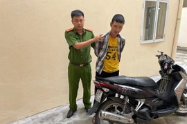 Vừa ra tù lại gây ra hàng loạt vụ cướp giật, trộm cắp tài sản