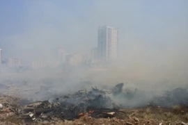 Hốt hoảng vì…cháy rác thải ở bãi đất hoang