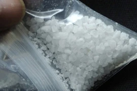 "Ngáo đá", mang ma túy đến nộp cơ quan Công an