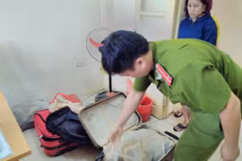 Thu giữ gần trăm con rùa quý "ẩn náu" trong va li kéo chuẩn bị về Quảng Ninh