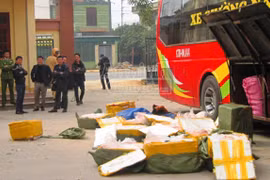 Bắt xe khách chở gần 1 tấn nội tạng động vật bốc mùi hôi thối