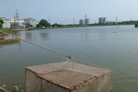 Sự thật về "vực thiêng" dìm chết trai trẻ quận Long Biên