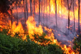 Cháy rừng kéo dài, 500 người tham gia dập lửa