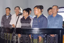 Xét xử GĐ, PGĐ để mất hơn 1.000ha rừng