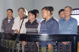 Xét xử GĐ, PGĐ để mất hơn 1.000ha rừng