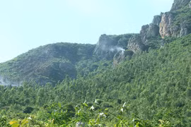 Huy động 200 cán bộ, chiến sỹ và nhân dân dập lửa cứu rừng