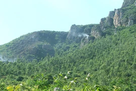 Huy động 200 cán bộ, chiến sỹ và nhân dân dập lửa cứu rừng