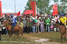 Đầu xuân, kỵ sĩ "chân đất" đua ngựa gò Thì Thùng