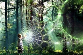 Các hiện tượng siêu nhiên, thần bí... là có thật