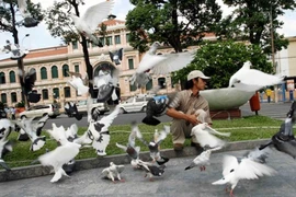 Hình ảnh đẹp của Tp. HCM