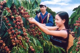 Mất thương hiệu mới đi đòi