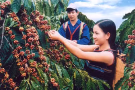 Mất thương hiệu mới đi đòi