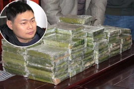 Hồ Sự Cơ, "ông trùm" đường dây vận chuyển ma túy xuyên quốc gia sa lưới