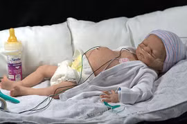 Những búp bê mang hình thù kỳ dị gây sốc cho người sở hữu