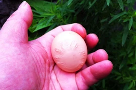 Xuất hiện “trứng thiên văn” ở Trung Quốc