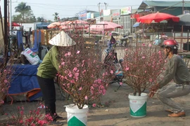 Đánh bạc với... trời