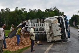 Né xe khách vượt ẩu, xe chở dăm lật xuống ruộng
