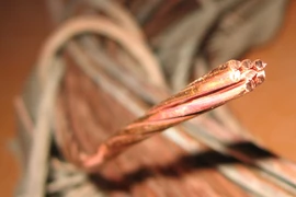 Giả làm nhân viên điện lực, đi cắt trộm cáp