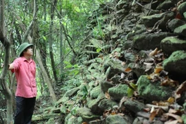 Phát hiện thành lũy cổ bằng đá