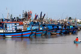 Kêu gọi 297 tàu cá với hơn 2.400 lao động tránh bão số 3