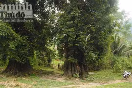 Kì bí "thị vợ, thị chồng" và ngôi đến Bạch Mã linh thiêng