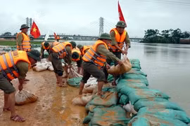 ĐBSCL chi hơn 200 tỉ khắc phục hậu quả mưa lũ