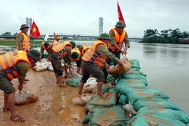 ĐBSCL chi hơn 200 tỉ khắc phục hậu quả mưa lũ