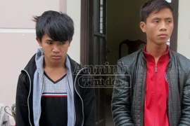 Khởi tố 2 đối tượng cắt trộm hơn 1.000m cáp viễn thông